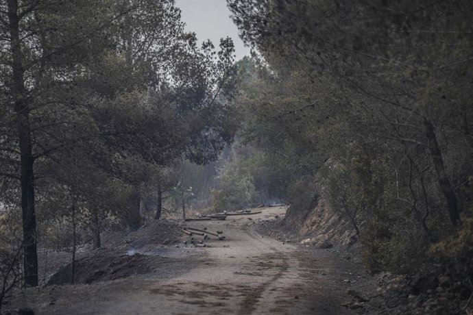 Restes de l'incendi de Paüls
