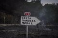 Protecció Civil veu "exemplar" el comportament veïnal en l'incendi de Paüls (Tarragona)