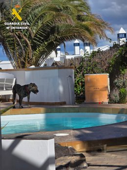La Guardia Civil investiga a un vecino de Haría como presunto autor de maltrato animal tras reiterados ataques de sus perros