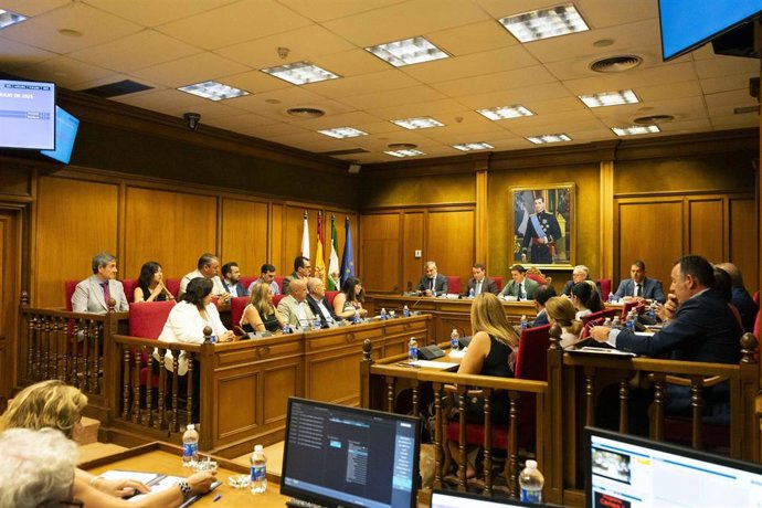 Pleno de la Diputación de Almería.