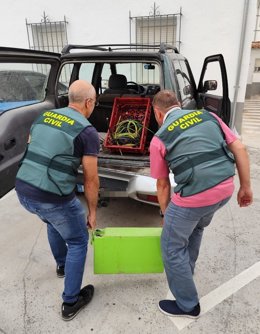 Operación Placidium