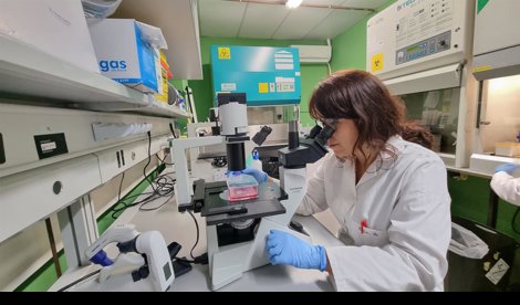Es Andalucía - Sevilla