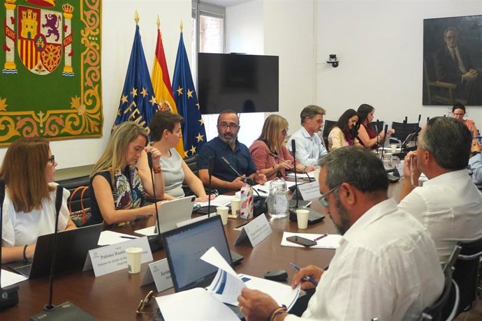 El presidente de la Diputación de Cáceres, Miguel Ángel Morales, ha participado este miércoles en la reunión de la Comisión de Cooperación al Desarrollo y Objetivos de Desarrollo Sostenible de la FEMP