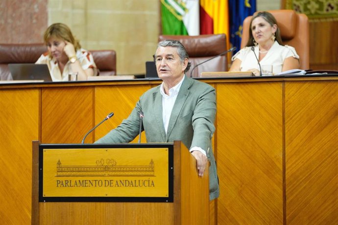 El consejero de la Presidencia, Interior, Diálogo Social y Simplificación Administrativa, Antonio Sanz, comparece en el Pleno del Parlamento andaluz.