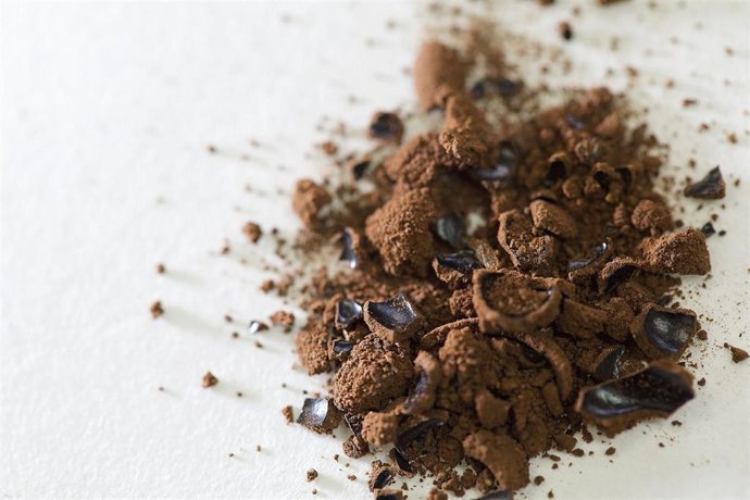 Investigadores de la UA desarrollan un método para extraer el 80% de la lignina de una cáscara de coco