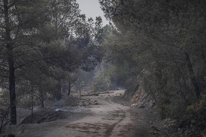 Restos del incendio de Paüls en la carretera de Aldover, a 8 de julio de 2025, en Aldover, Tarragona, Catalunya (España). 