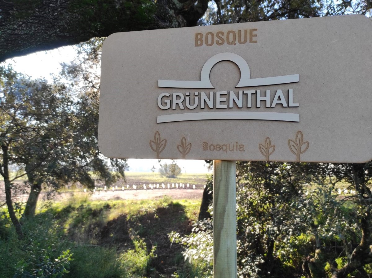 Grünenthal Pharma reduce un 20% su huella de carbono por tercer año consecutivo