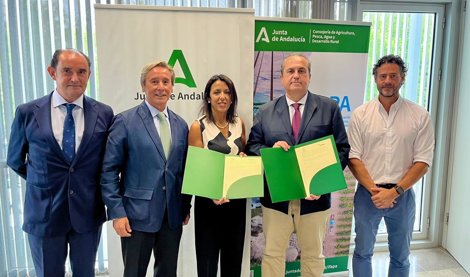 Es Andalucía - Sevilla