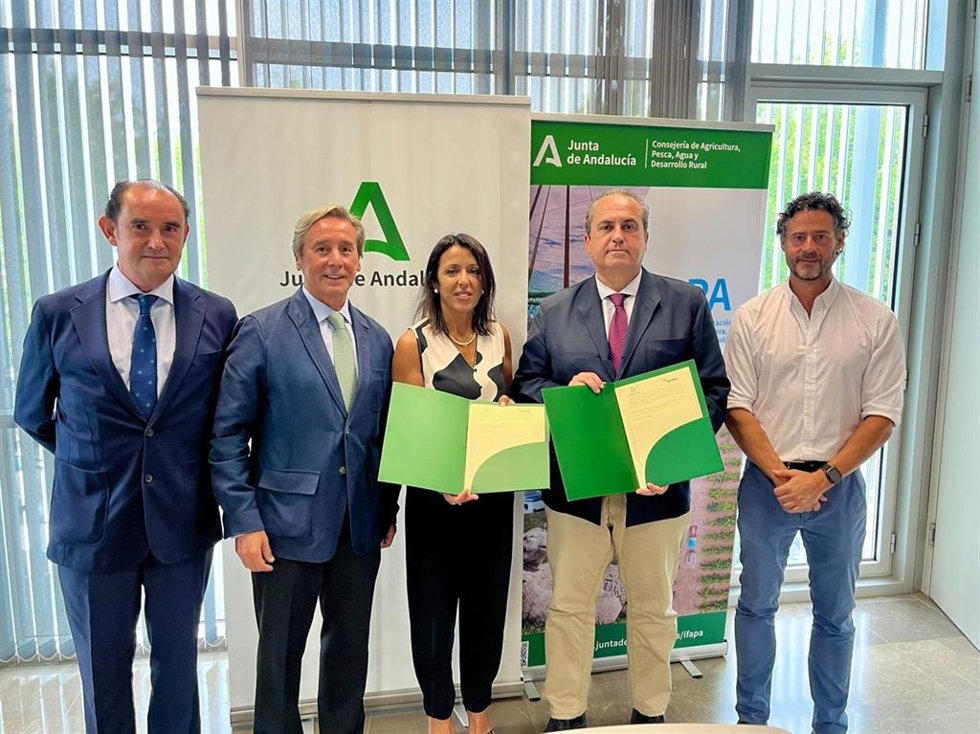 El IFAPA y ASEMESA acuerdan colaborar para impulsar la investigación, la innovación y la formación en el sector de la aceituna de mesa.
