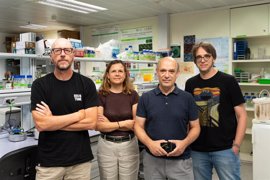 Foto: VICENTE LARA/UPV