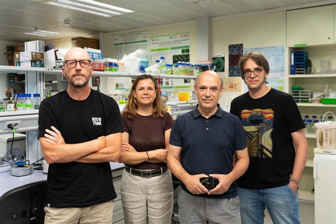 De izquierda a derecha: David Alabadí, Cristina Úrbez, Miguel Blázquez y Antonio Serrano, el equipo científico del IBMCP (CSIC - UPV) que ha desarrollado el estudio.