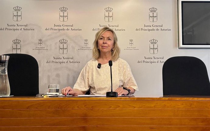 La diputada del Grupo Parlamentario Vox Asturias, Sara Álvarez Rouco, en una rueda de prensa para hablar de ayudas a la dependencia.