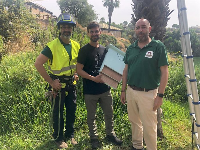 En la primera fase del proyecto se instalaron cajas refugio para que los murciélagos locales dispongan de espacios protegidos en una serie de palmeras repartidas por Selwo Aventura, en Estepona.