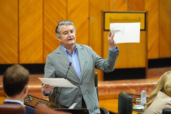 El consejero de la Presidencia, Interior, Diálogo Social y Simplificación Administrativa, Antonio Sanz, en el Pleno del Parlamento andaluz.