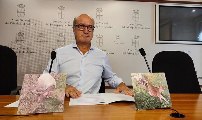 El diputado del PP en la Junta General, Luis Venta.