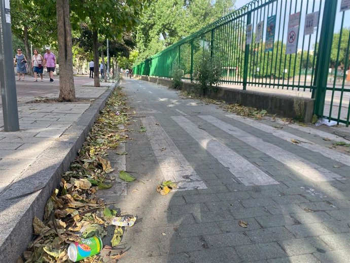 Imagen del carril bici a la altura del Colegio Miguel Herández en el Paseo del Cauce