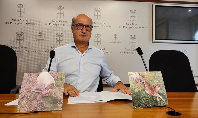 El diputado del PP en la Junta General, Luis Venta.