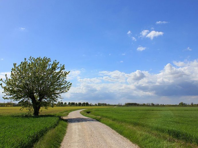 Campo en una foto de archivo.