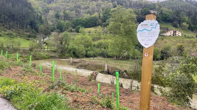 Artibai ibaiaren ingurua