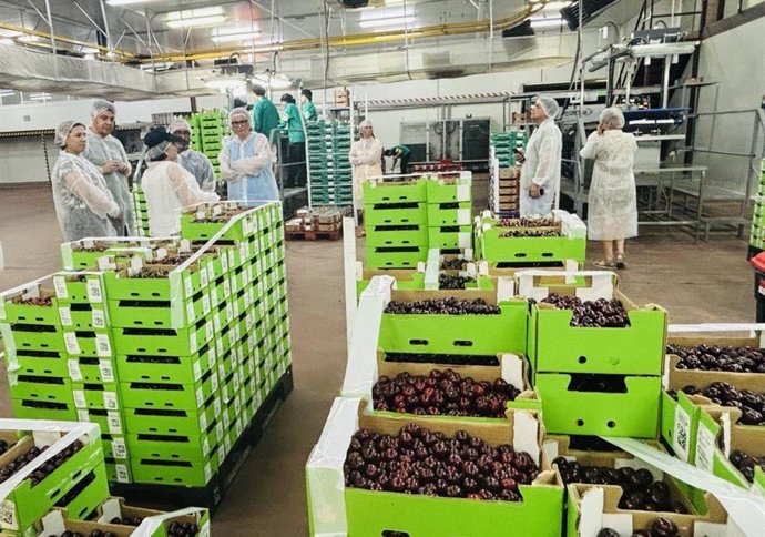 La presidenta de la Asamblea de Extremadura, Blanca Martín, y el presidente de la Diputación de Cáceres, Miguel Ángel Morales, visitan la Agrupación de Cooperativas del Valle del Jerte
