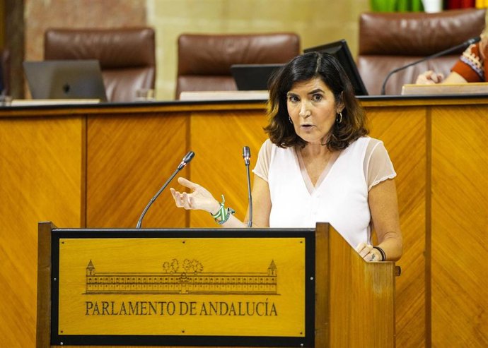 La consejera de Empleo, Rocío Blanco, este jueves en el Pleno del Parlamento durante la Interpelación del Grupo Socialista.