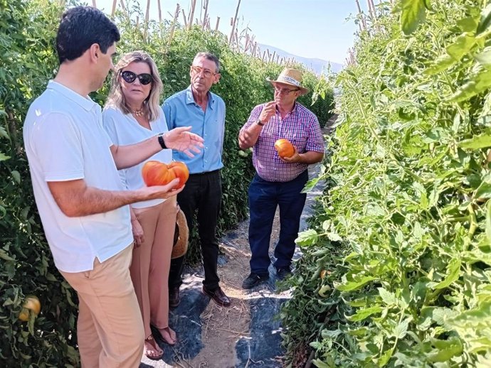 La directora general de Industrias, Innovación y Cadena Agroalimentaria, Cristina de Toro Navero y el delegado territorial de Agricultura, Pesca, Agua y Desarrollo Rural en Málaga, Fernando Fernández Tapia-Ruano.