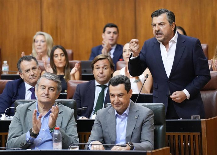El portavoz del Grupo Parlamentario Popular, Toni Martín, este jueves durante su pregunta en la sesión de control en el Pleno del Parlamento al presidente de la Junta, Juanma Moreno.