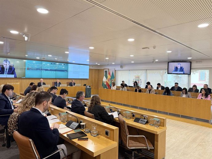 Archivo - Pleno ordinario de la Diputación Provincial (imagen de archivo). 