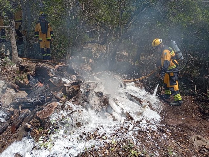 Bomberos sofocando un incendio forestal declarado en Crestatx, Sa Pobla