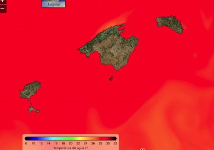 Mallorca Preservation advierte del calentamiento inusual del mar balear y de las consecuencias para el ecosistema