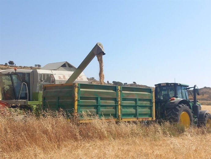 Campaña de cereal en la comarca de Los Vélez, en Almería.
