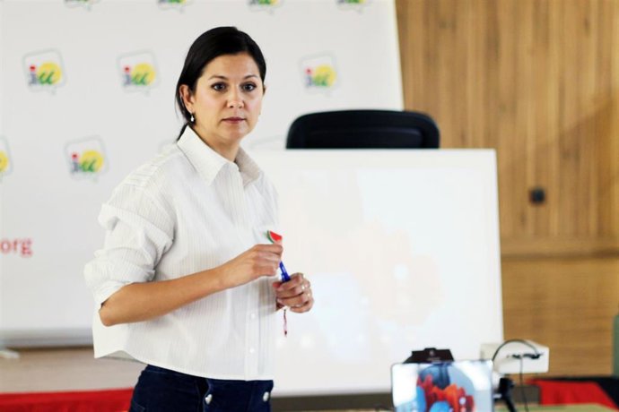 Archivo - La coordinadora provincial de IU en Almería, María Jesús Amate.