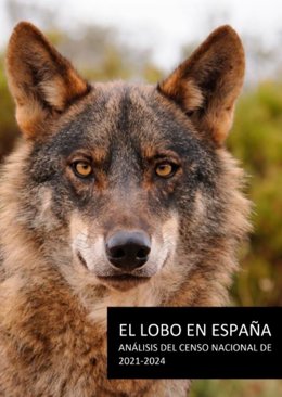 WWF señala que el censo del lobo debe tener en cuenta todos los ejemplares de la especie en España y Portugal.