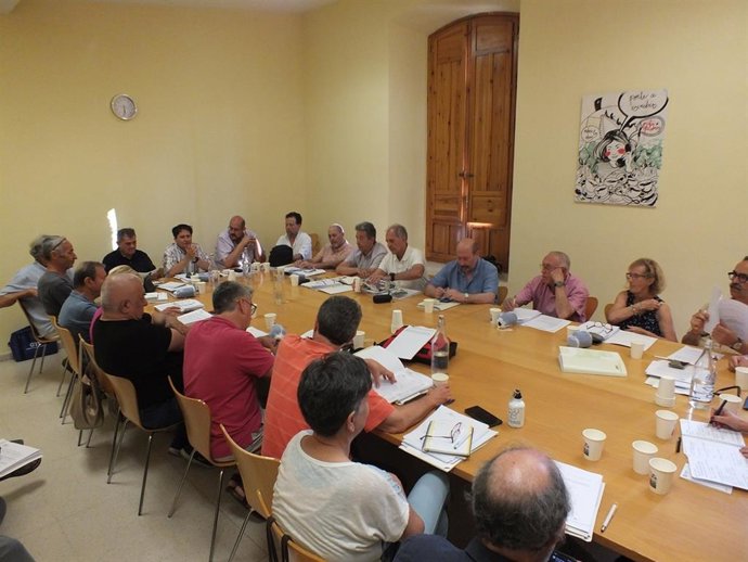 Sesión plenaria del CMC.