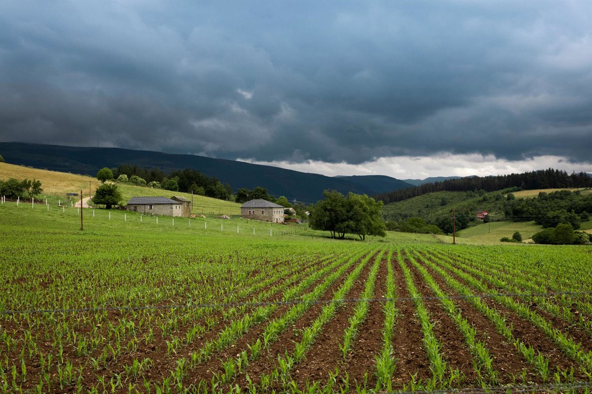 Asturias convoca ayudas por 1,5 millones para proyectos innovadores de los grupos operativos vinculados a la PAC