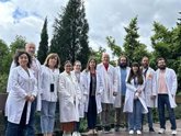 Foto: Identifican una diana inmunológica para frenar el avance de la leucemia