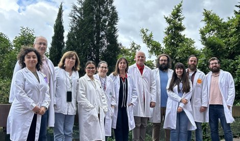Investigación