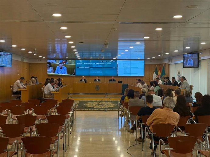 Pleno extraordinario de la Diputación de Sevilla.