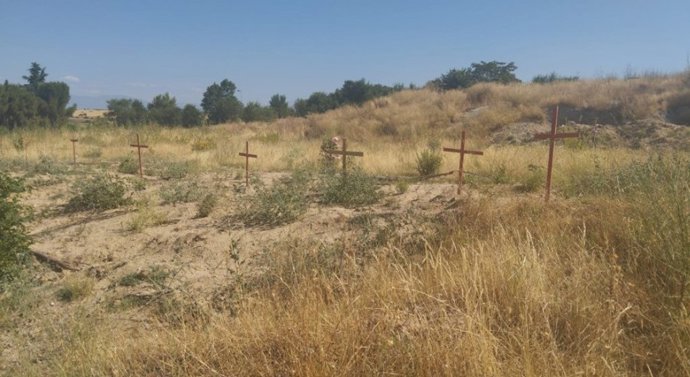Cementerio de árboles por la tala llevada a cabo en el Parque de Montecarmelo