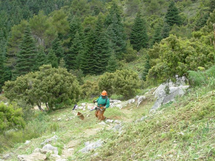 Bio+A Málaga impulsa la Bioeconomía y la Sostenibilidad en Sierra de las Nieves a través de una importante oferta formativa conectada con el territorio