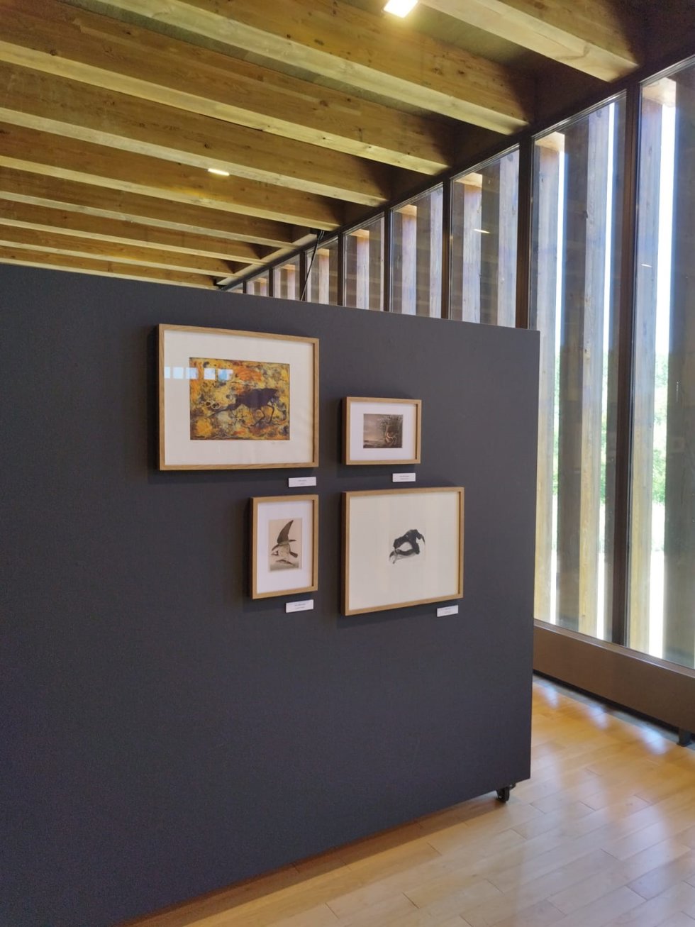 Cuatro obras de 'Las aves del paraíso, una mirada gráfica sobre el mundo de las aves desde el arte contemporáneo