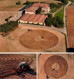 Plantaciones del primer viñedo en espiral de España, en Áster (Anguix, Burgos) de La Rioja Alta, S.A.