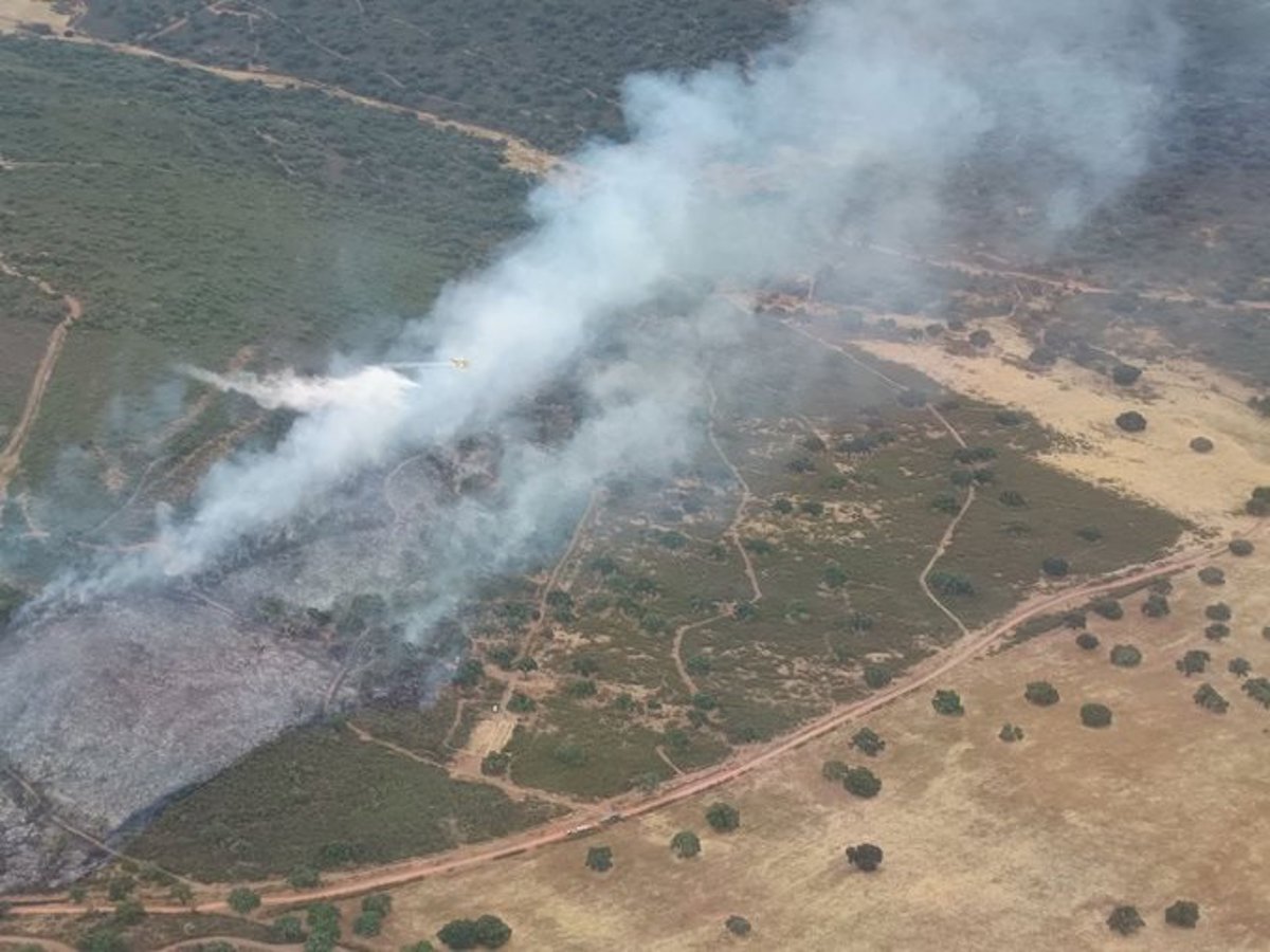 Evoluciona favorablemente un incendio forestal de dehesa y matorral en Cáceres y con nivel 0 de peligrosidad