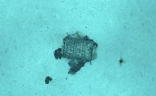 Un bidón con residuos radiactivos en la Fosa Atlántica