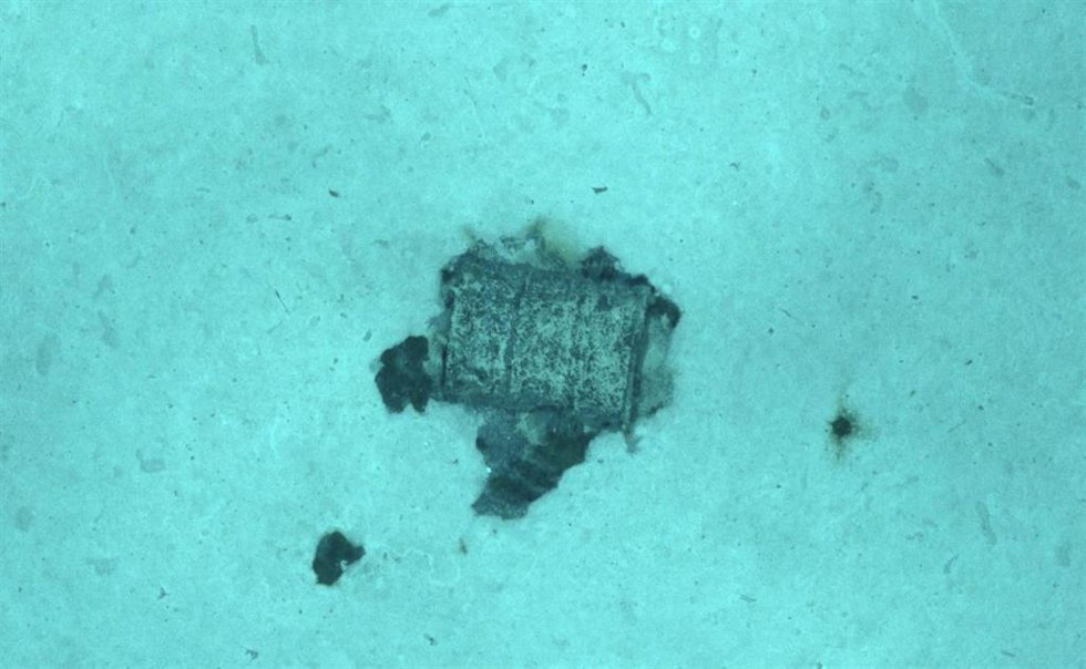Un bidón con residuos radiactivos en la Fosa Atlántica