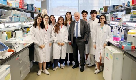 Investigación