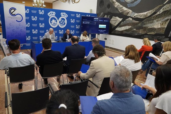 Pleno del Consejo Económico y Social de la provincia de Huelva (CESpH).