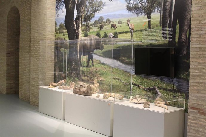 El Museo de Ciencias Naturales de la Universidad de Zaragoza cierra el curso 2024-2025 con cerca de 40.000 visitantes.