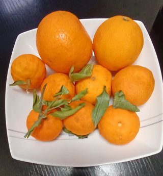 Archivo - Naranjas