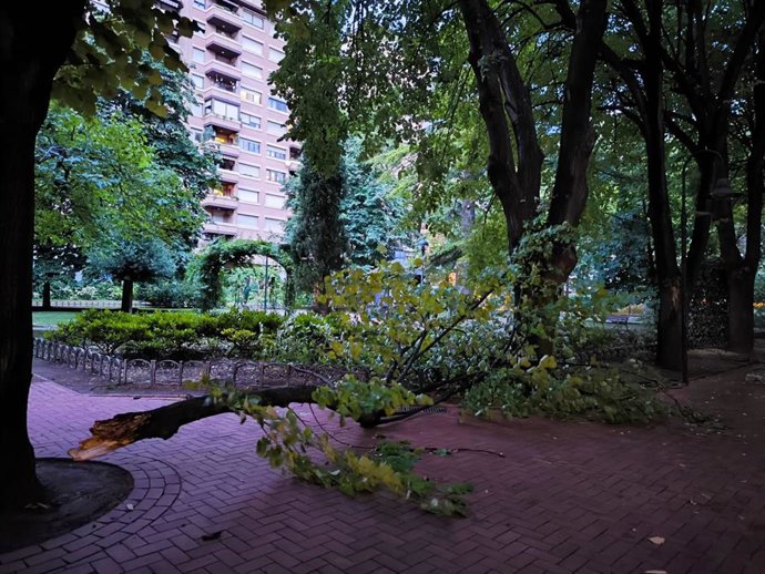 Un árbol caído así como varias ramas en el parque del Carmen de Logroño por la tormenta